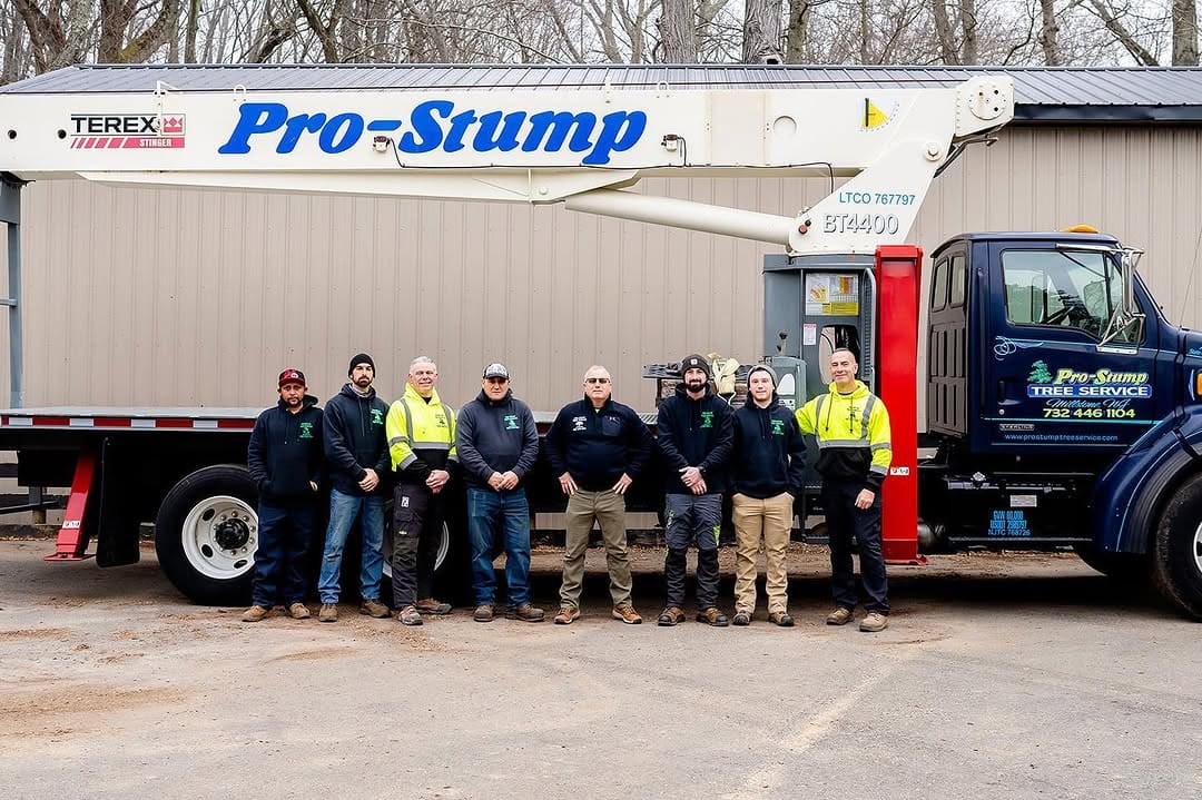 Pro-Stump Tree Service tree service crew working on site