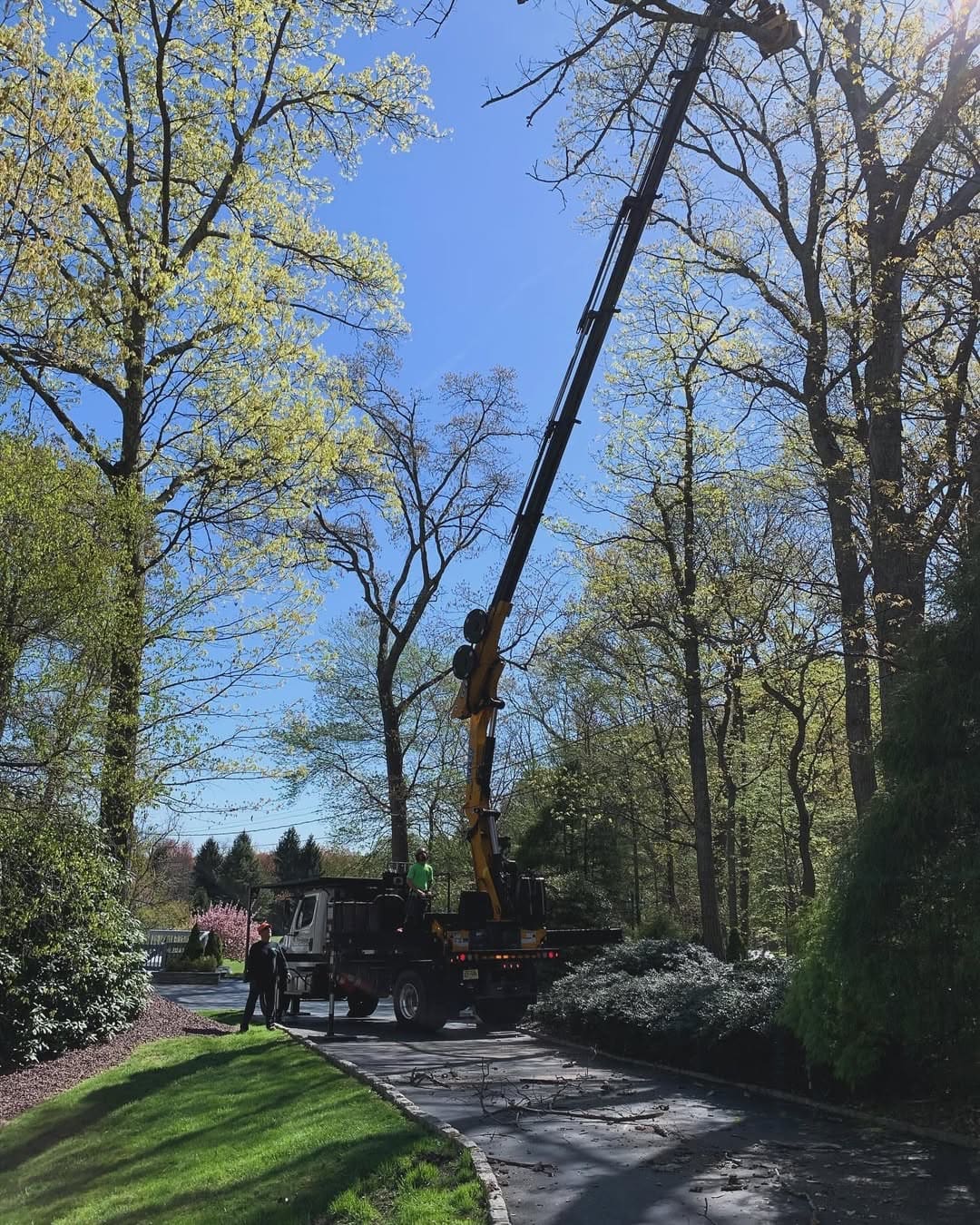 Commercial tree service maintenance in Evesham, NJ