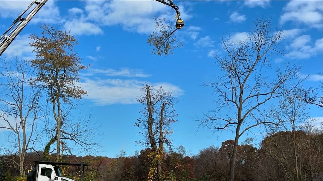 Crane-assisted removal on a tight-access Ewing property