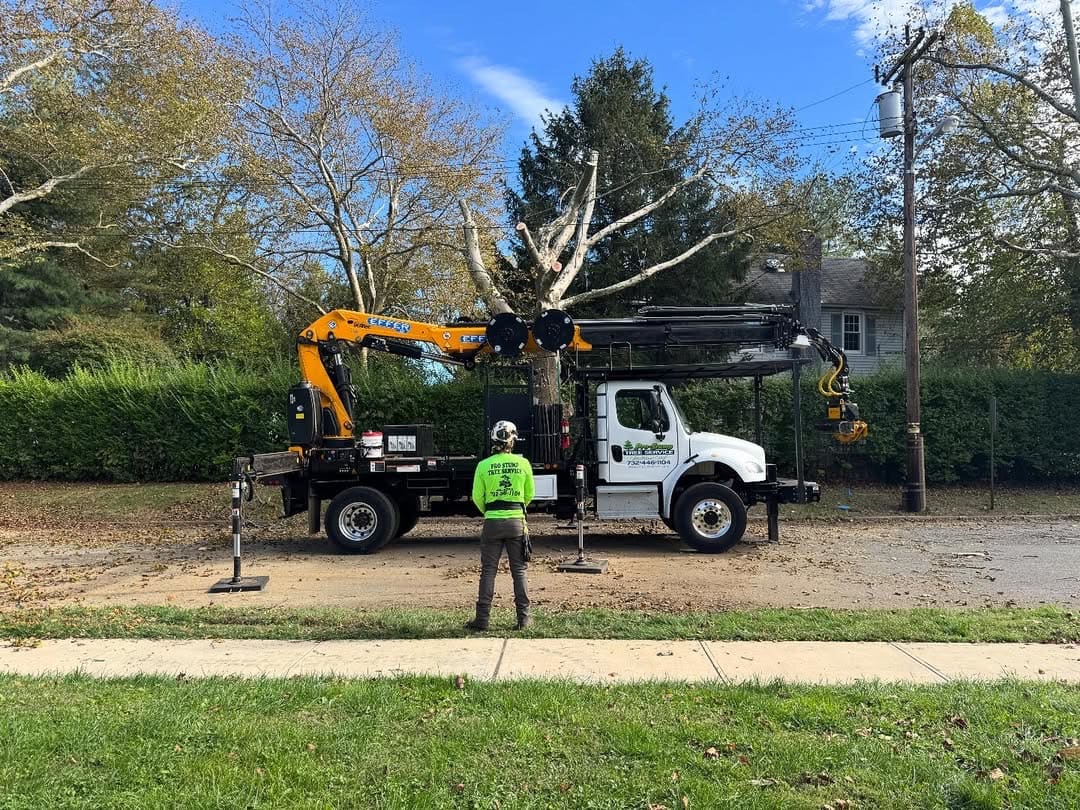 Emergency Tree Service equipment by Pro-Stump Tree Service in Central NJ