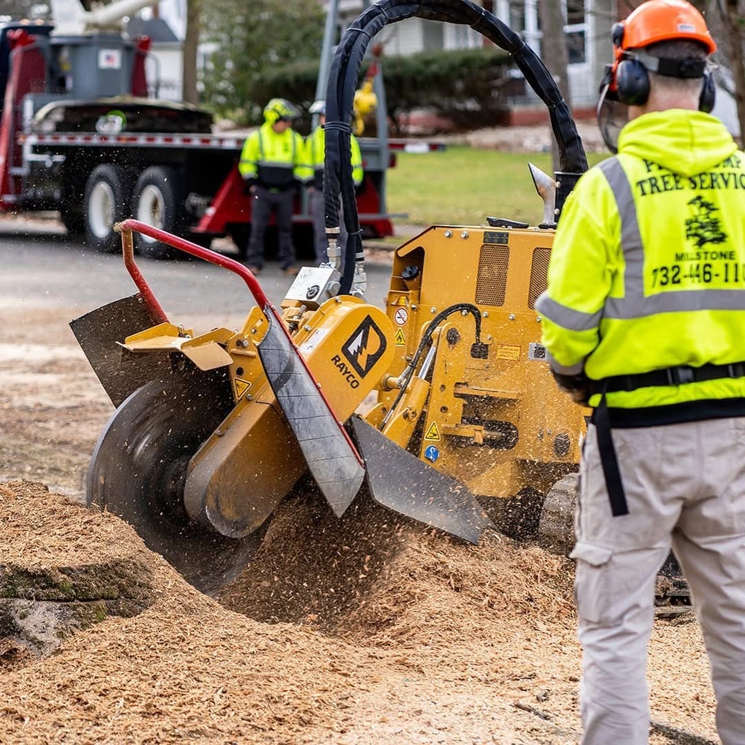 Stump grinder on an Ewing, NJ residential property