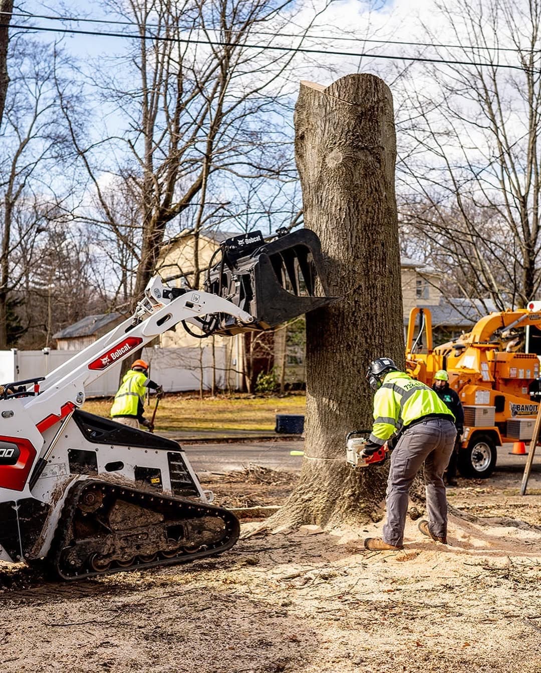 Tree Removal equipment by Pro-Stump Tree Service in Central NJ
