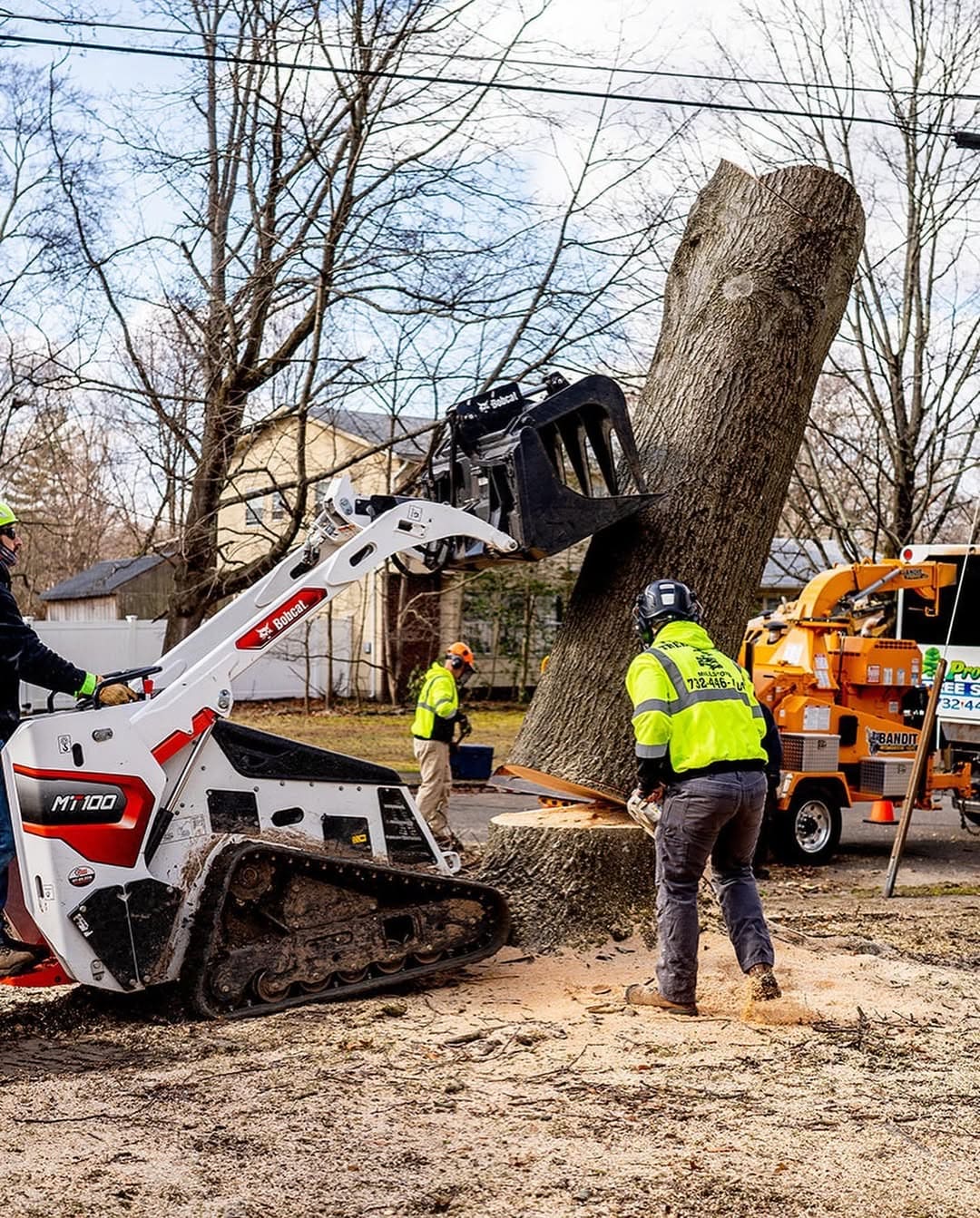Residential tree removal for an Ewing, NJ property owner