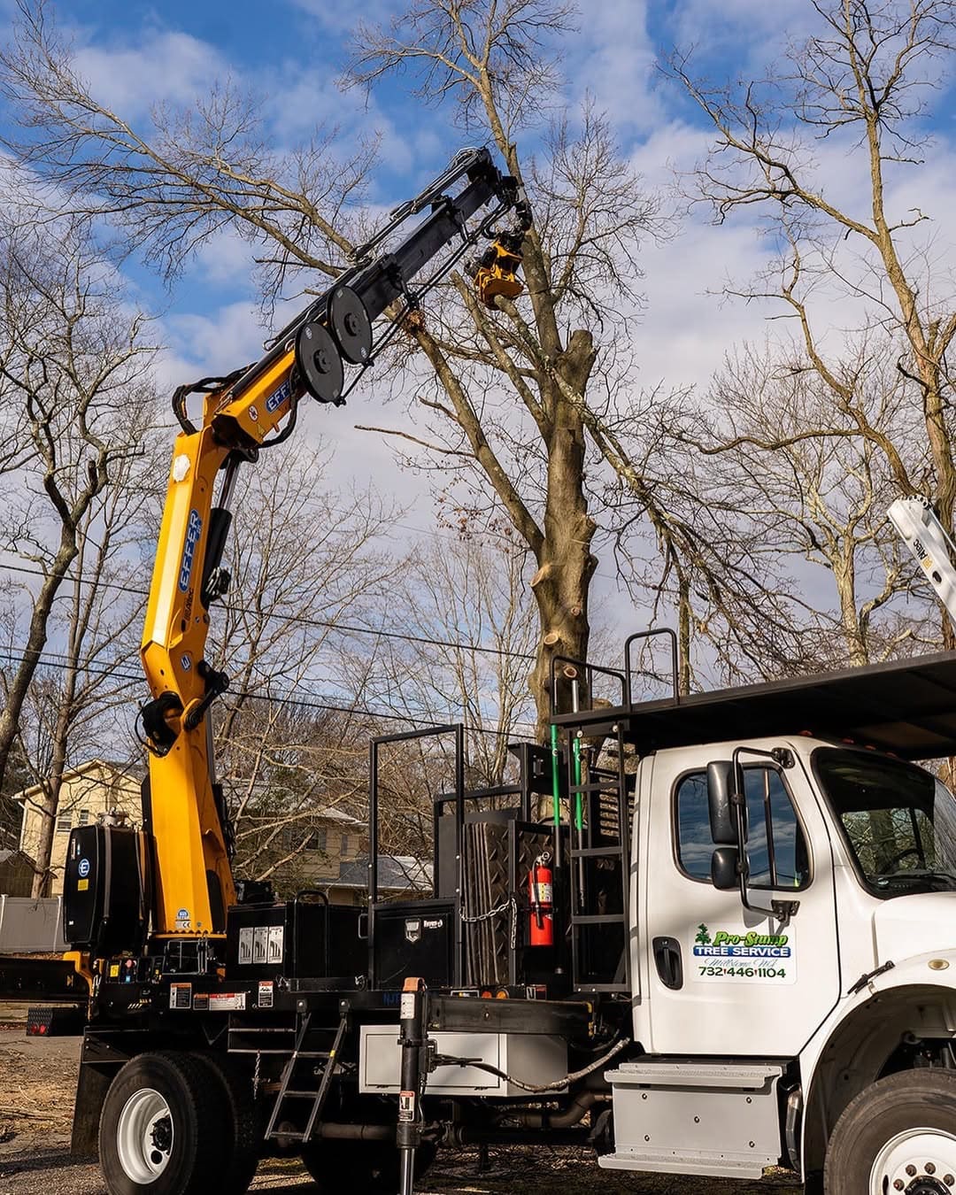 Grapple saw in action for tree removal in Toms River, NJ