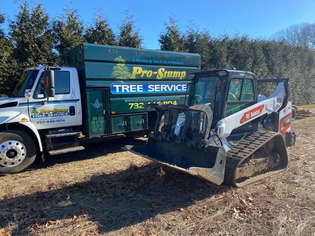 The Pro-Stump Tree Service fleet on a Brick, NJ job site